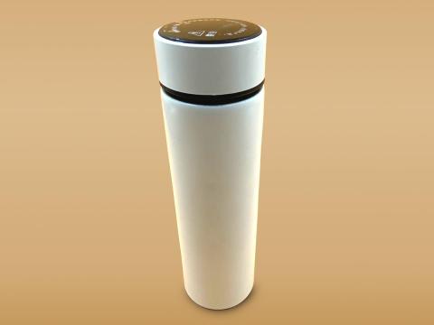 Temperature water bottle